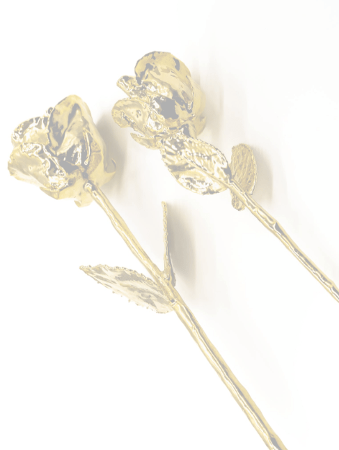 Rose gold flower
Gold Plated Rose
Gold Roses