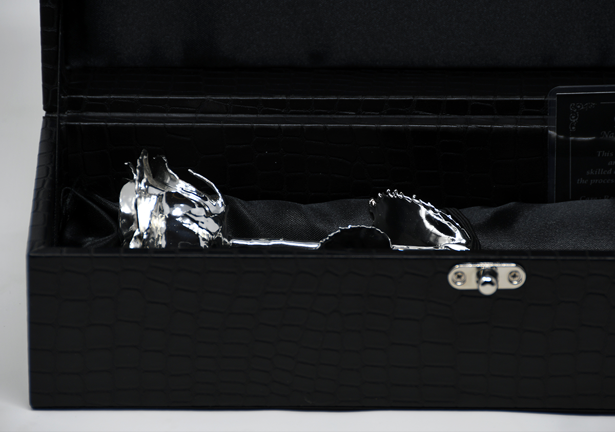 NEW Silver Dipped Natural Rose 11.5" - Luxe Noir Gift Box