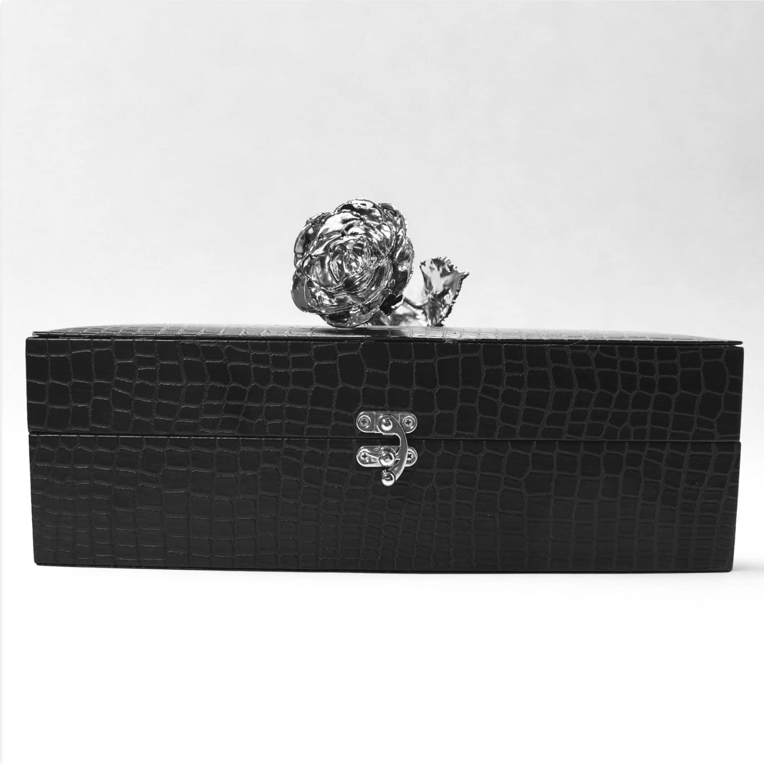 Pure Silver Rose + FREE Silver-Dipped Vase Set | Black Vegan Leather Box