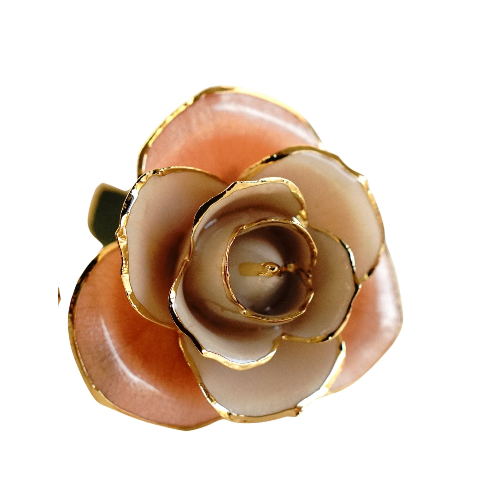 LovePicker Gold Dipped Rose 24 Karat Gold Plated Rose 11.5" - Royal Navy Blue Box Gold Dipped Rose anniversary-birthday-wedding-gift Valentines-Day milestone-gifts luxury-custom-elegant