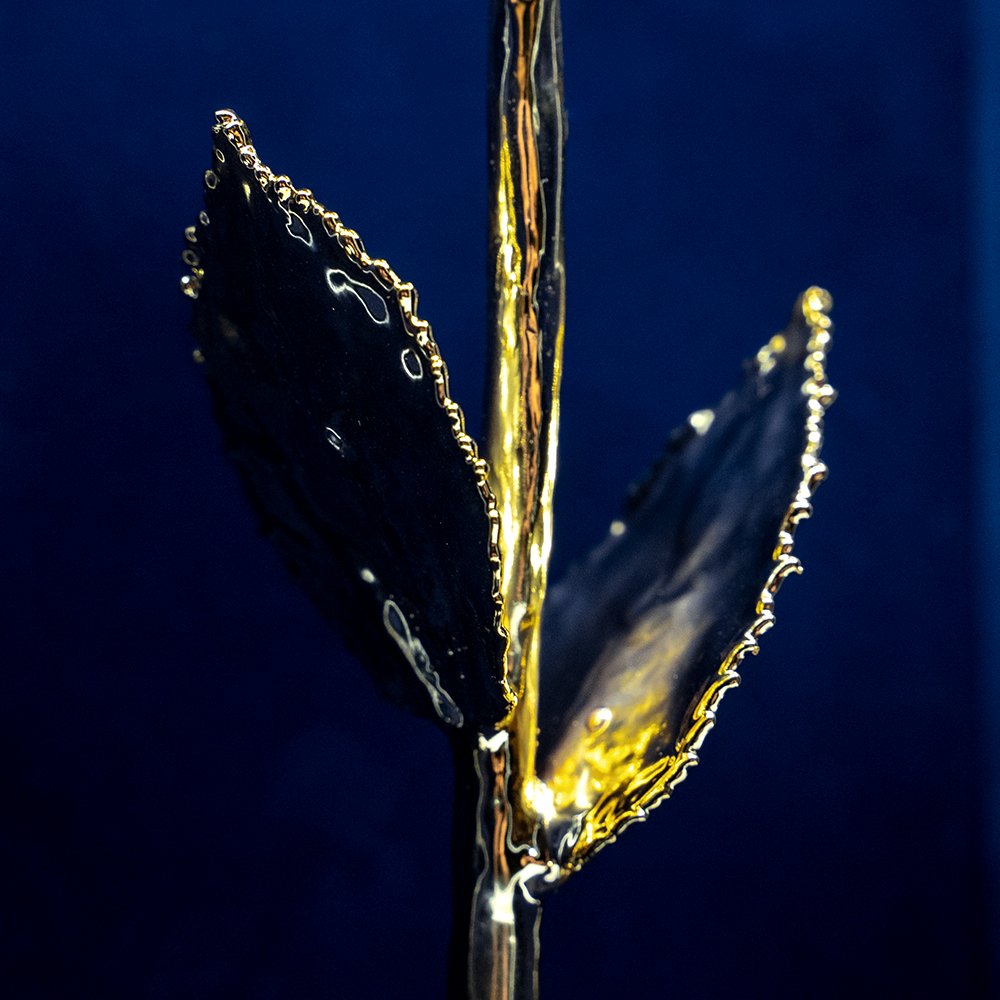 Custom Engraved Box 24K Gold Dipped Natural Rose 11.5" - Midnight Blue - Lovepicker