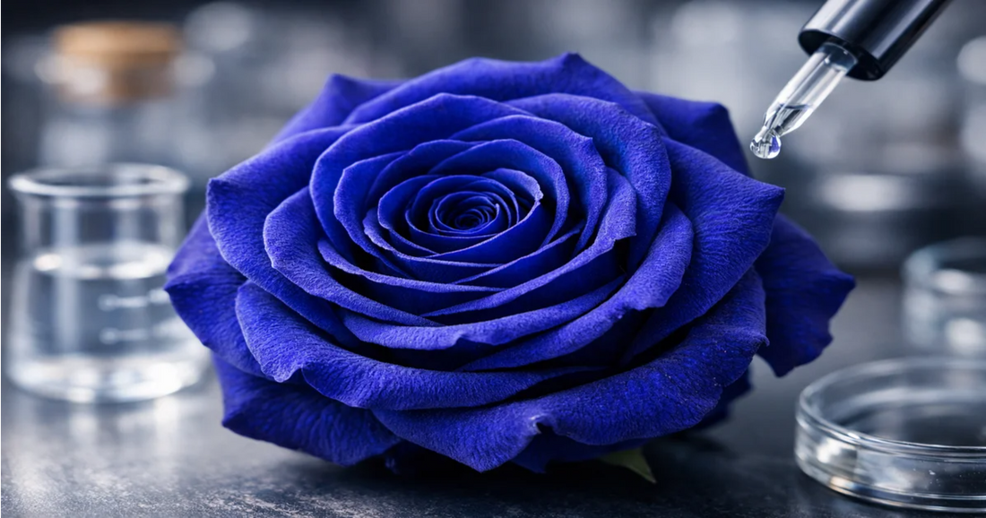 Close-up of a preserved blue rose with a dropper, surrounded by glass lab beakers