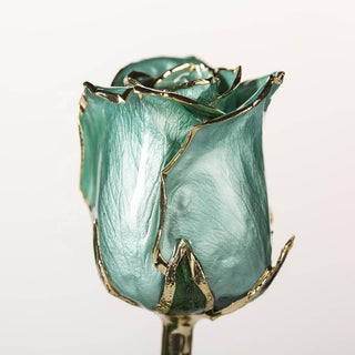 Tiffany teal 11.5-inch closed bud preserved rose with 24K gold accents, bloom close-up