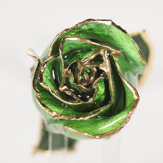 Emerald green 11.5-inch closed bud preserved rose with 24K gold accents, close-up bloom view