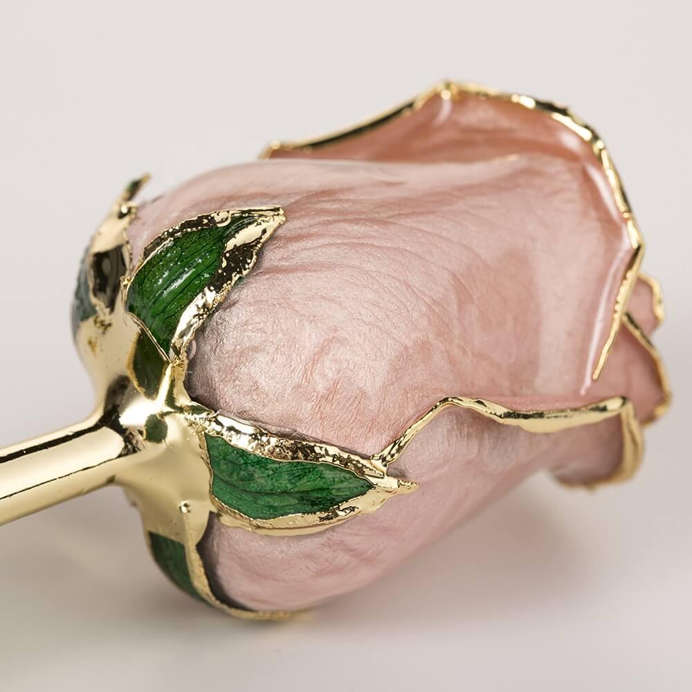 Champagne blush 11.5-inch closed bud rose with 24K gold accents, bloom close-up