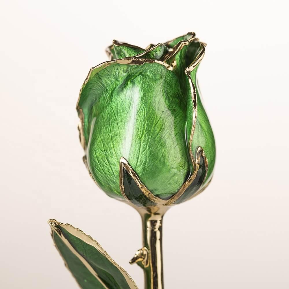 Emerald green 11.5-inch closed bud preserved rose with 24K gold accents, bloom close-up