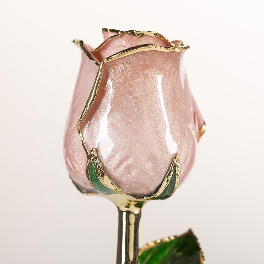Champagne blush 11.5-inch closed bud rose with 24K gold accents, bloom close-up