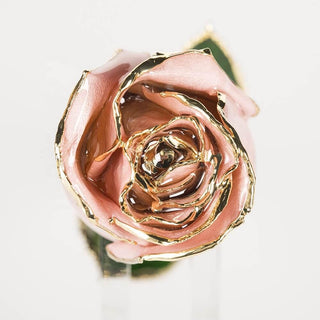 Champagne blush 11.5-inch closed bud rose with 24K gold accents, close-up bloom view
