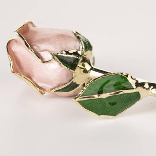 Champagne blush 11.5-inch closed bud rose with 24K gold accents, bloom close-up