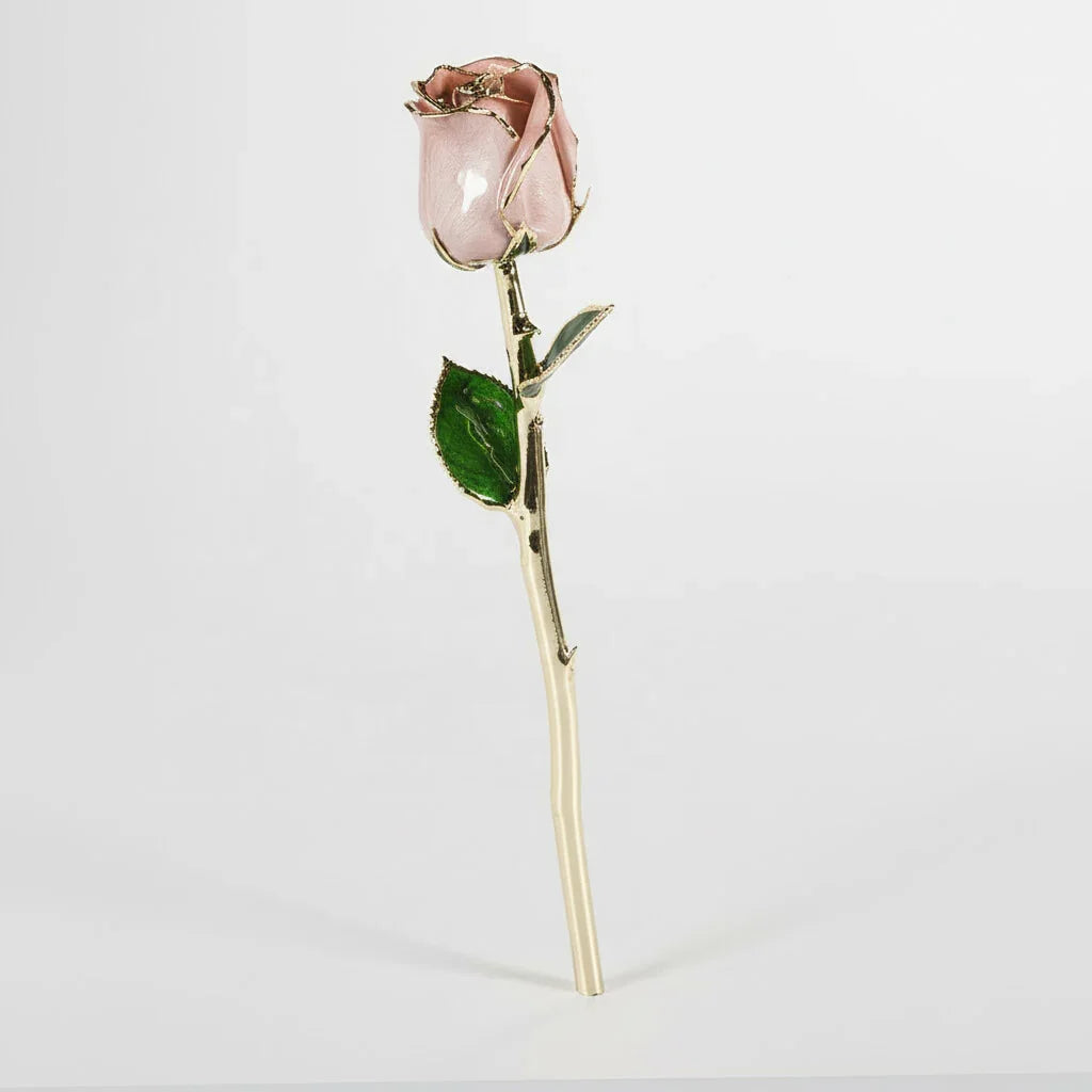 Champagne blush 11.5-inch closed bud rose with 24K gold accents, full-length view