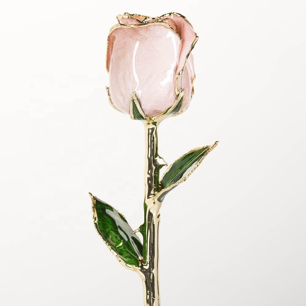 Champagne blush 11.5-inch closed bud rose with 24K gold accents, bloom close-up