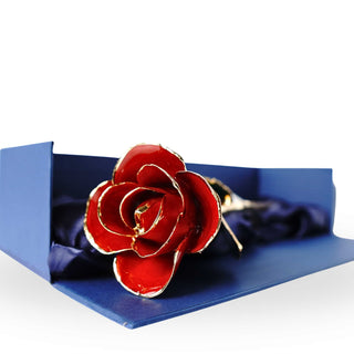 Gold Dipped Rose 11.5" - Royal Navy Blue Box