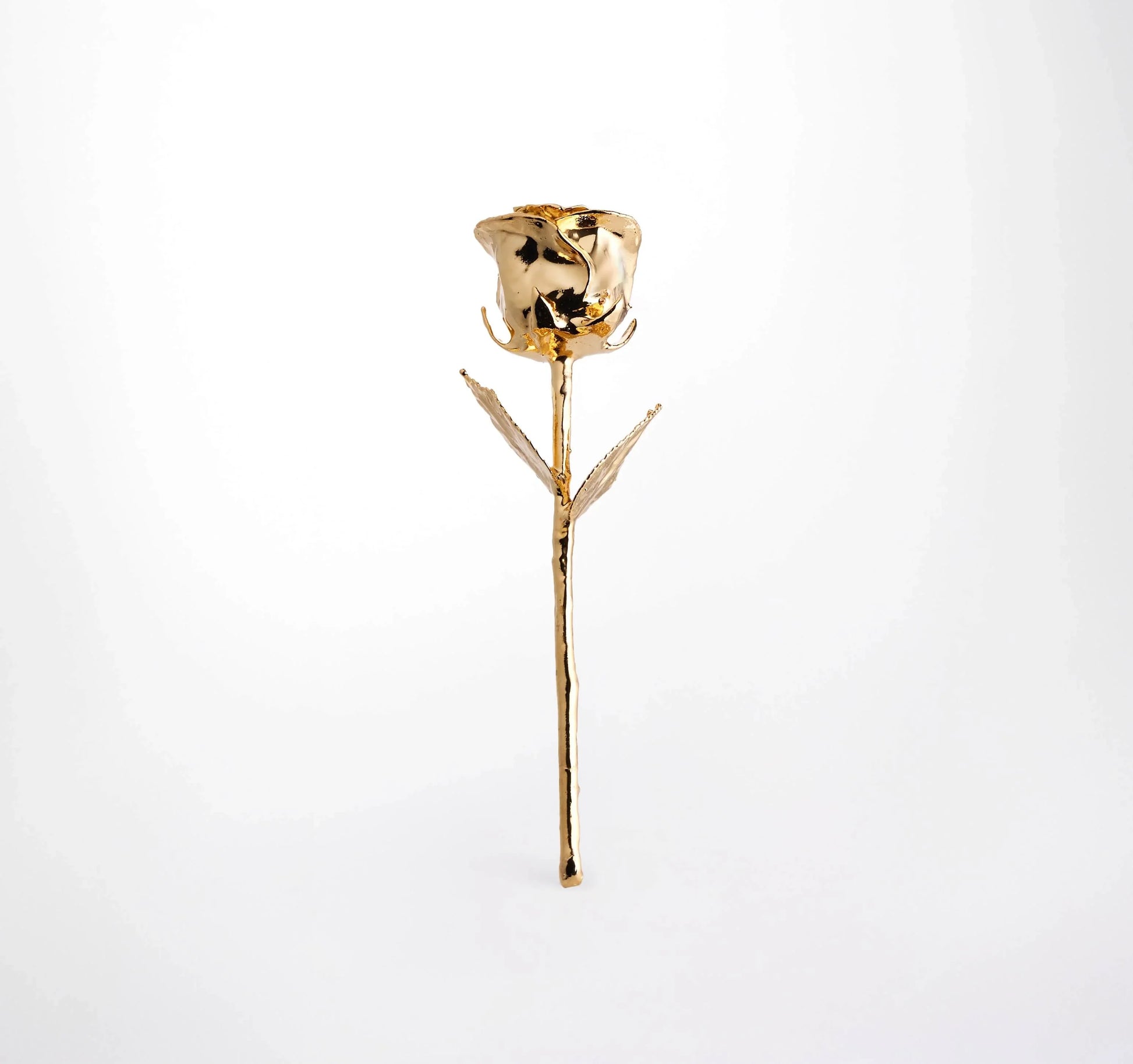 24K gold dipped rose for romantic gifts, elegant and timeless with shimmering finish