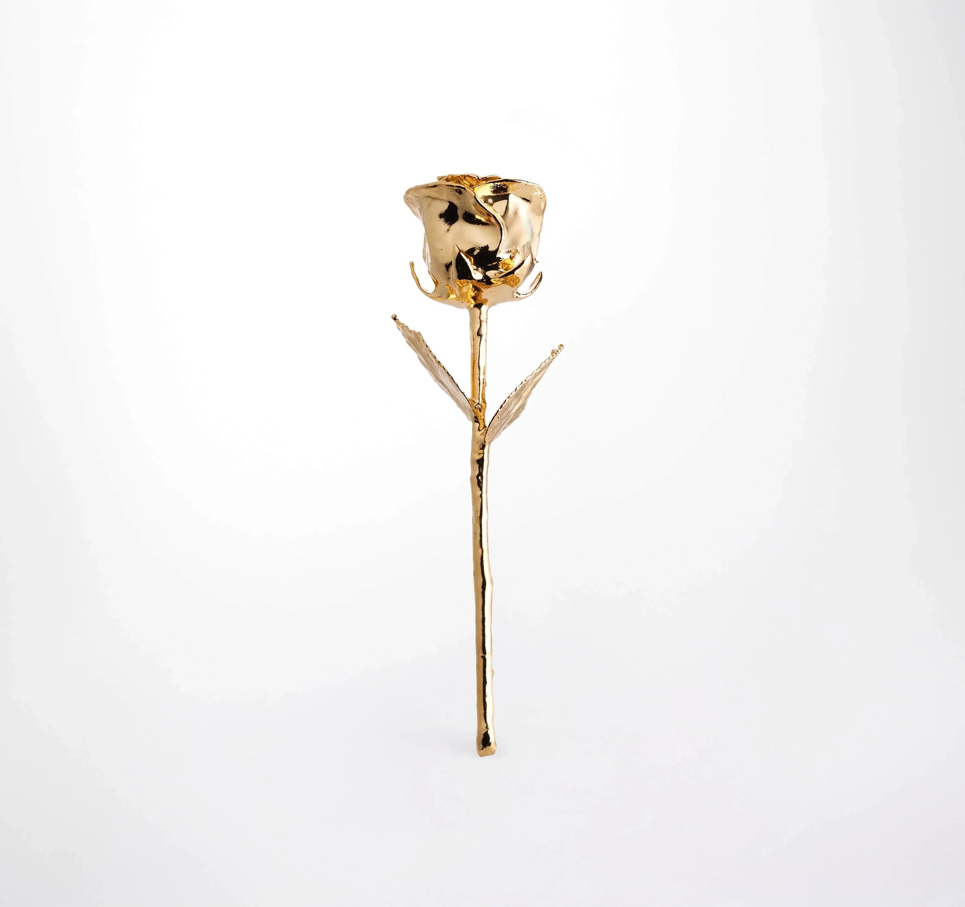 24K gold dipped rose for romantic gifts, elegant and timeless with shimmering finish