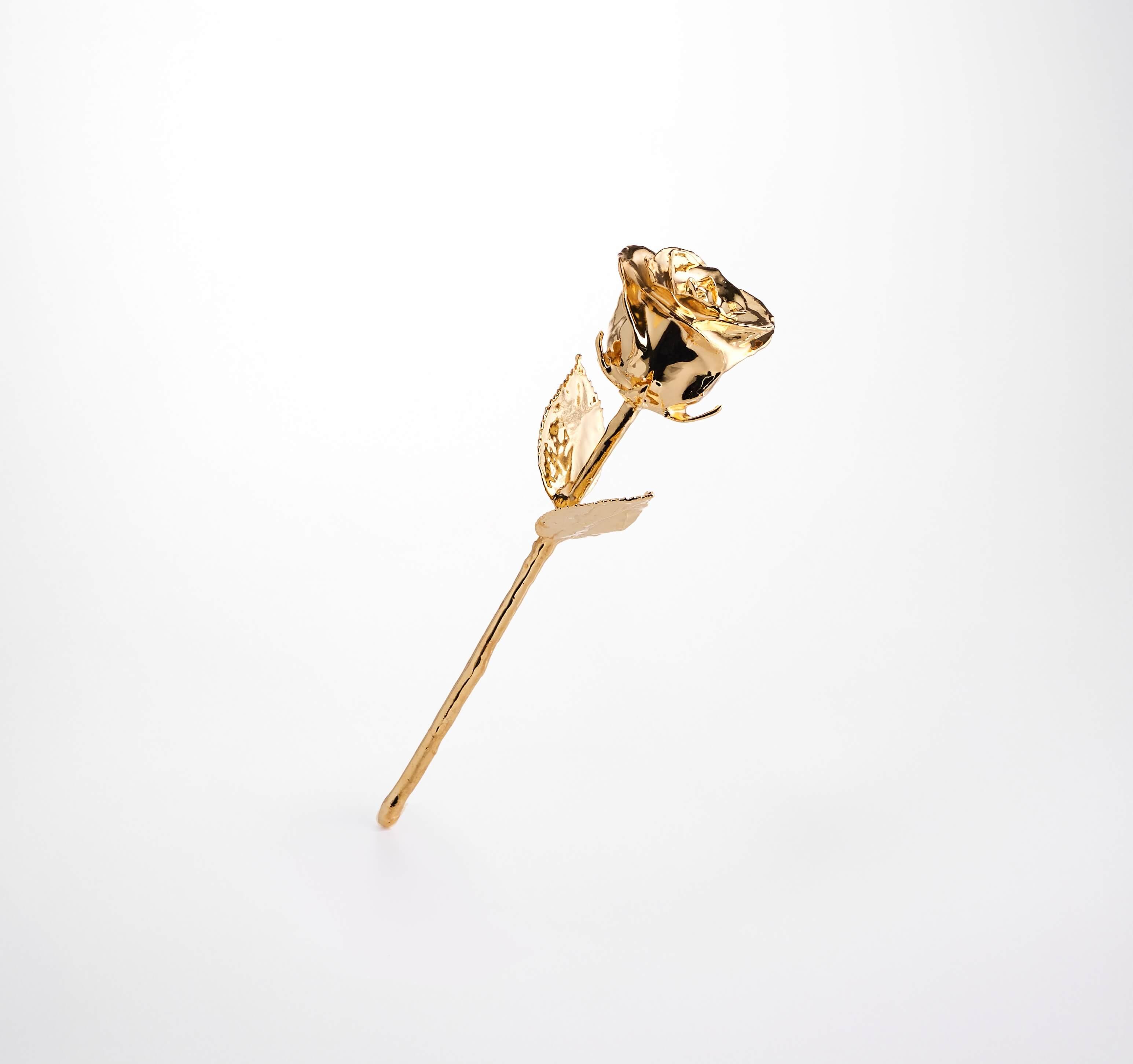 24K gold dipped rose for anniversary, classic bloom style with shimmering finish, perfect romantic gift