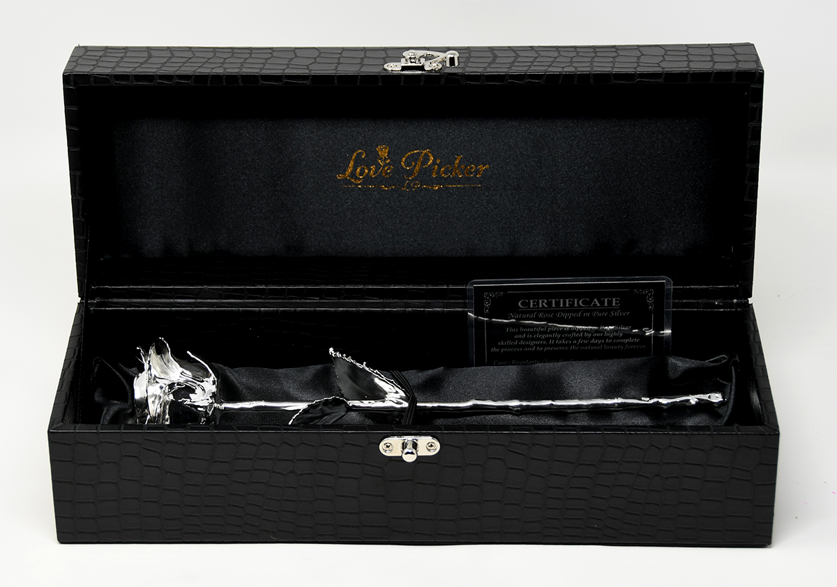 NEW Silver Dipped Natural Rose 11.5" - Luxe Noir Gift Box