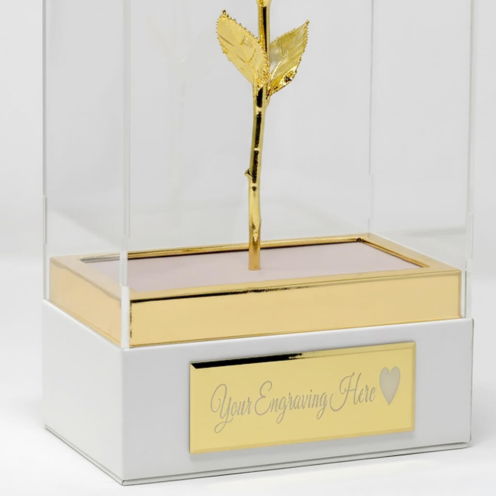 Gold rose in a clear glass box with engraving area on a white background