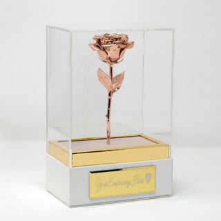 Rose gold rose in a clear glass box with a white base on a light gray background