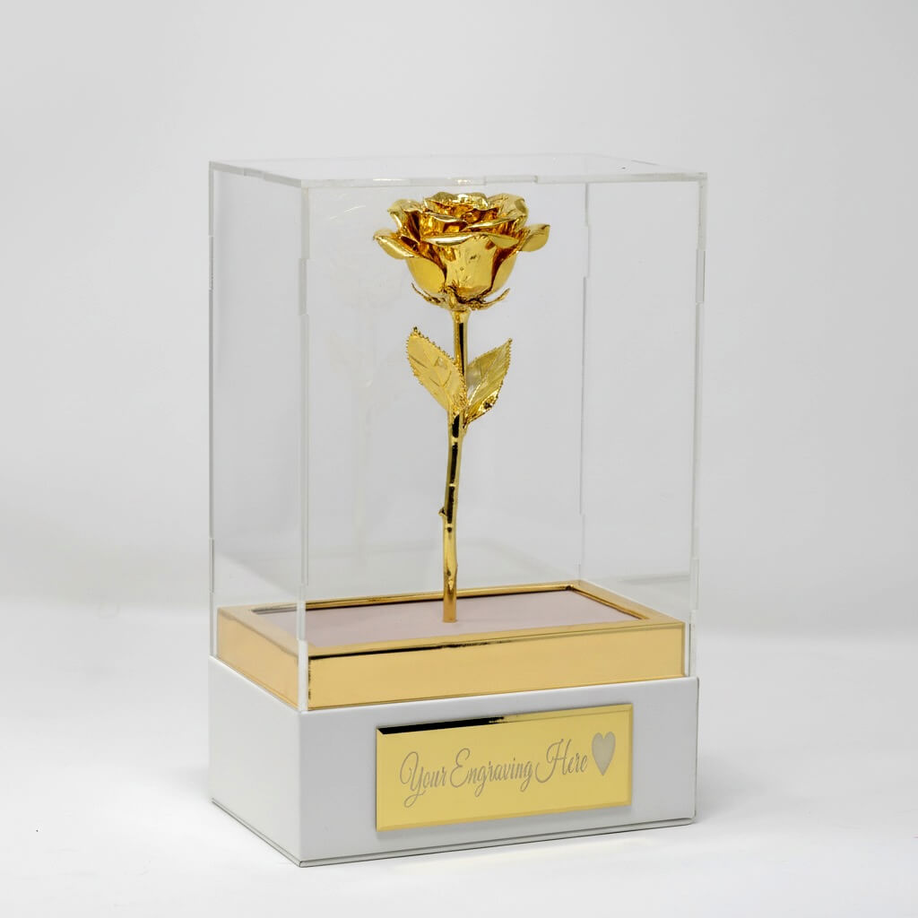 Gold rose in a clear glass box with a white base on a light gray background