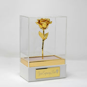 Gold rose in a clear glass box with a white base on a light gray background