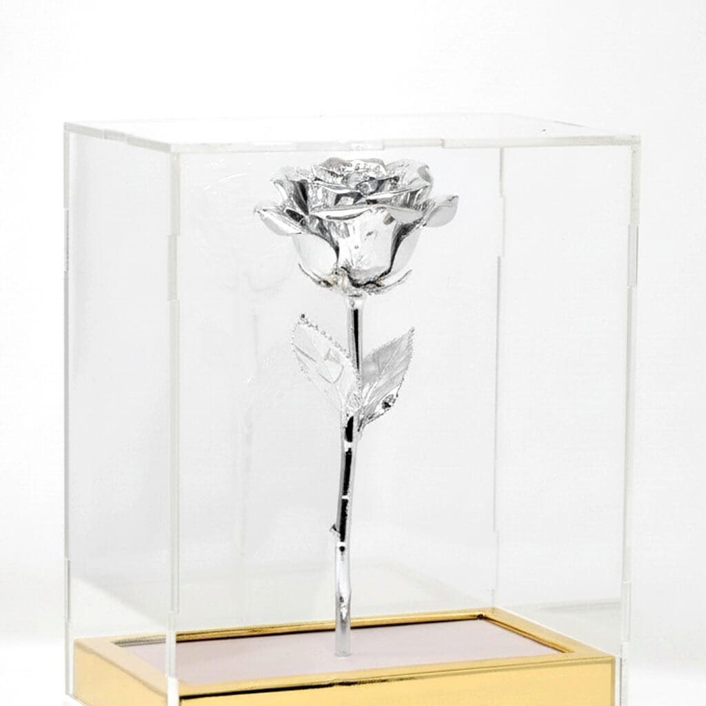 Crystal rose in a clear glass box with a gold base on a white background