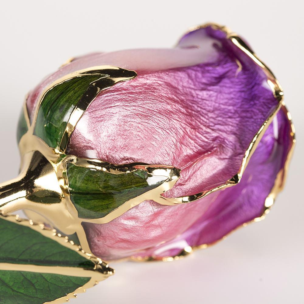 Amethyst purple-and-pink 11.5-inch closed bud rose with 24K gold accents, studio view