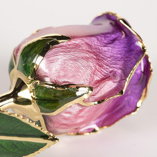 Amethyst purple-and-pink 11.5-inch closed bud rose with 24K gold accents, studio view