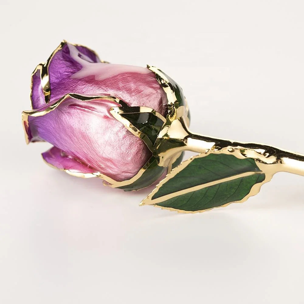Amethyst purple-and-pink 11.5-inch closed bud rose with 24K gold accents, studio view