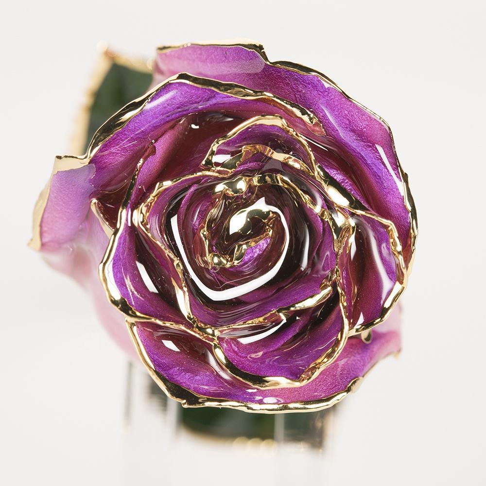 Amethyst purple-and-pink 11.5-inch closed bud rose with 24K gold accents, close-up bloom view