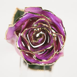 Amethyst purple-and-pink 11.5-inch closed bud rose with 24K gold accents, close-up bloom view