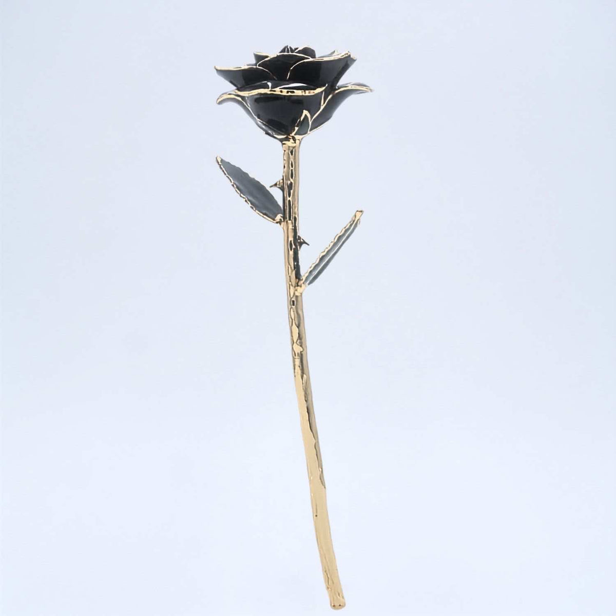 Black open bloom preserved rose with 24K gold accents, full side view