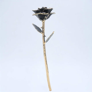 Black open bloom preserved rose with 24K gold accents, full side view