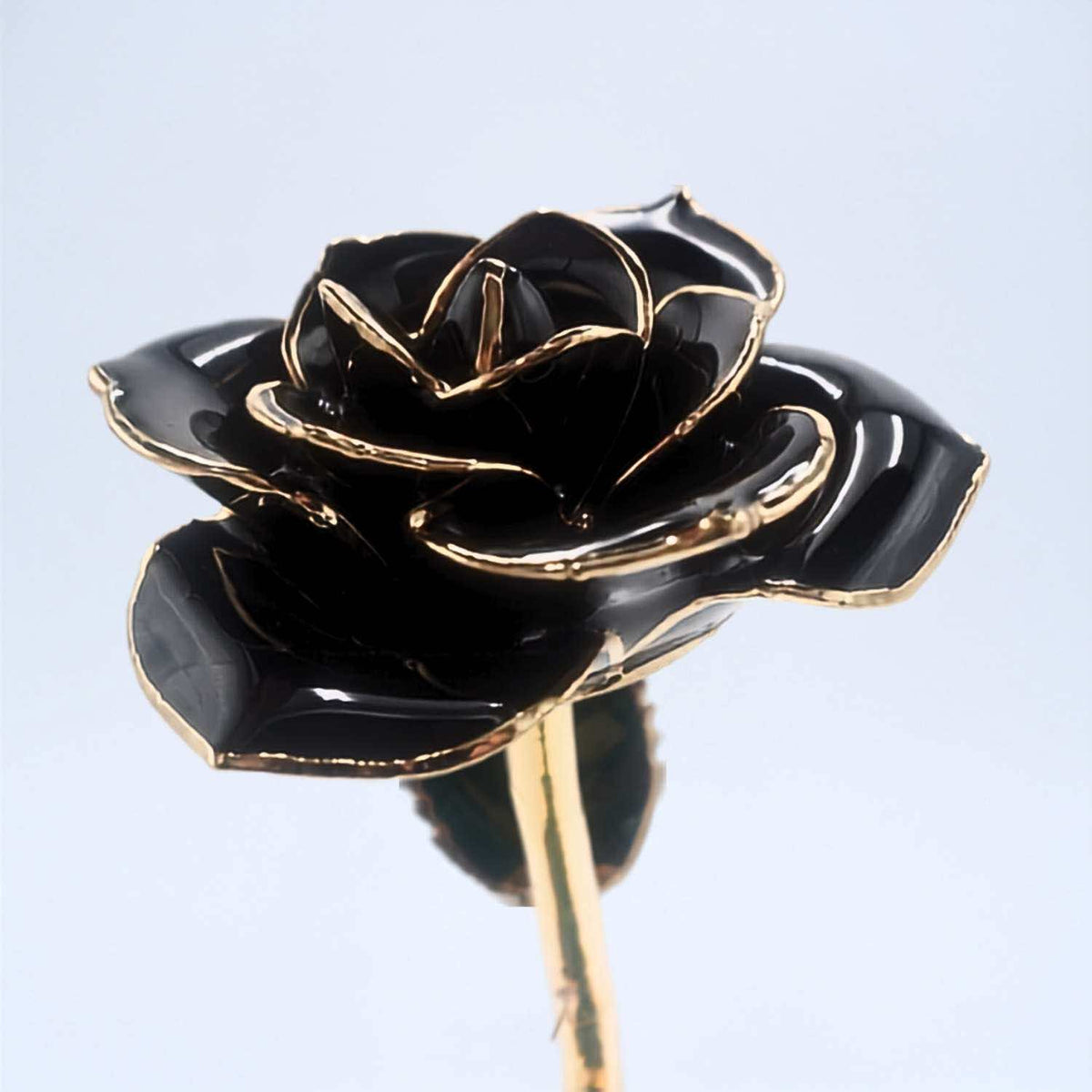Black open bloom preserved rose with 24K gold accents, bloom close-up