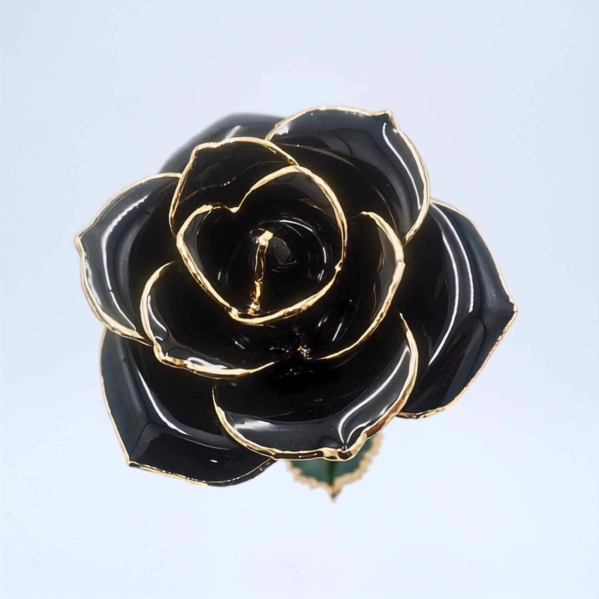 Black open bloom preserved rose with 24K gold accents, close-up bloom view