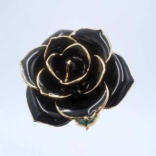 Black open bloom preserved rose with 24K gold accents, close-up bloom view