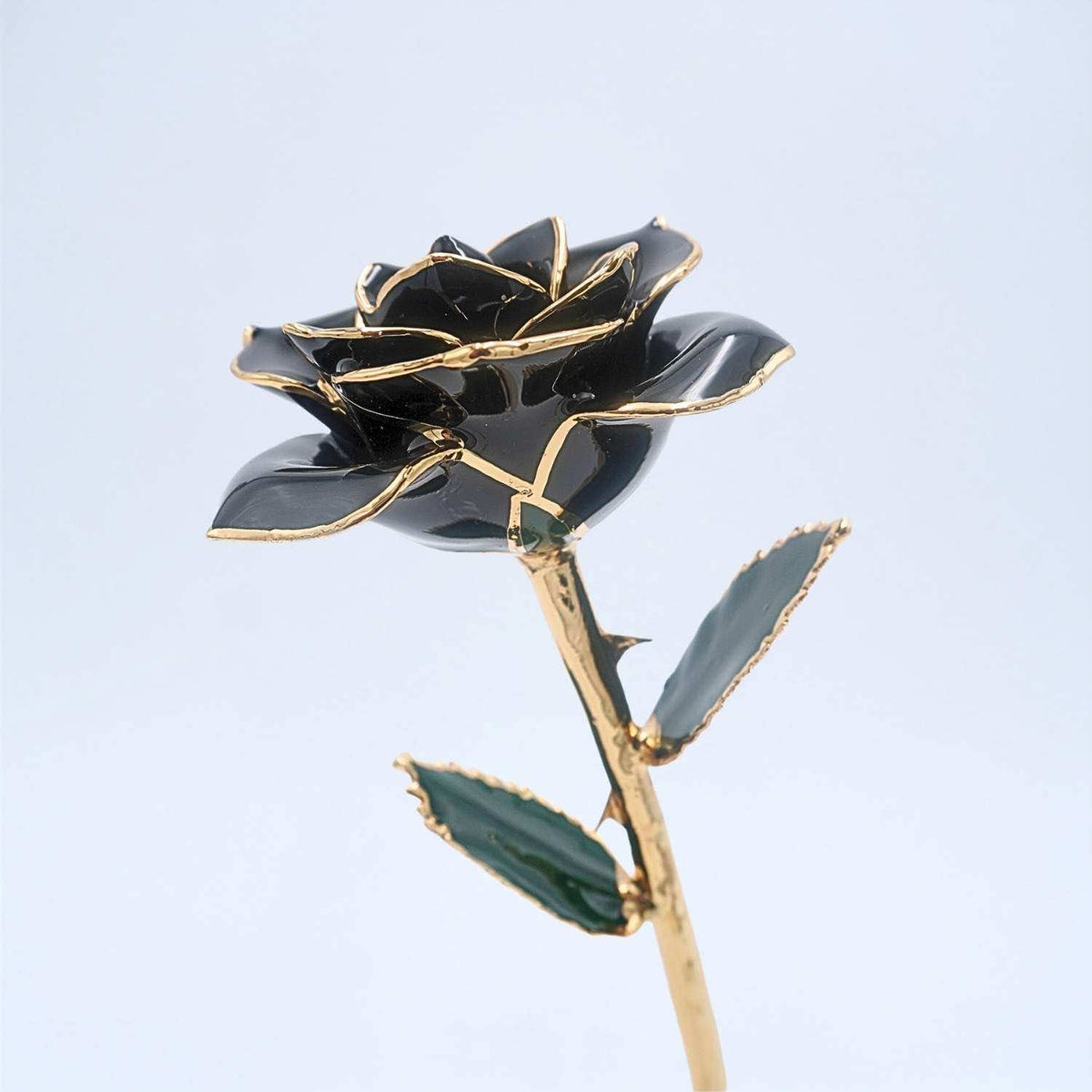 Black open bloom preserved rose with 24K gold accents, angled half-length view