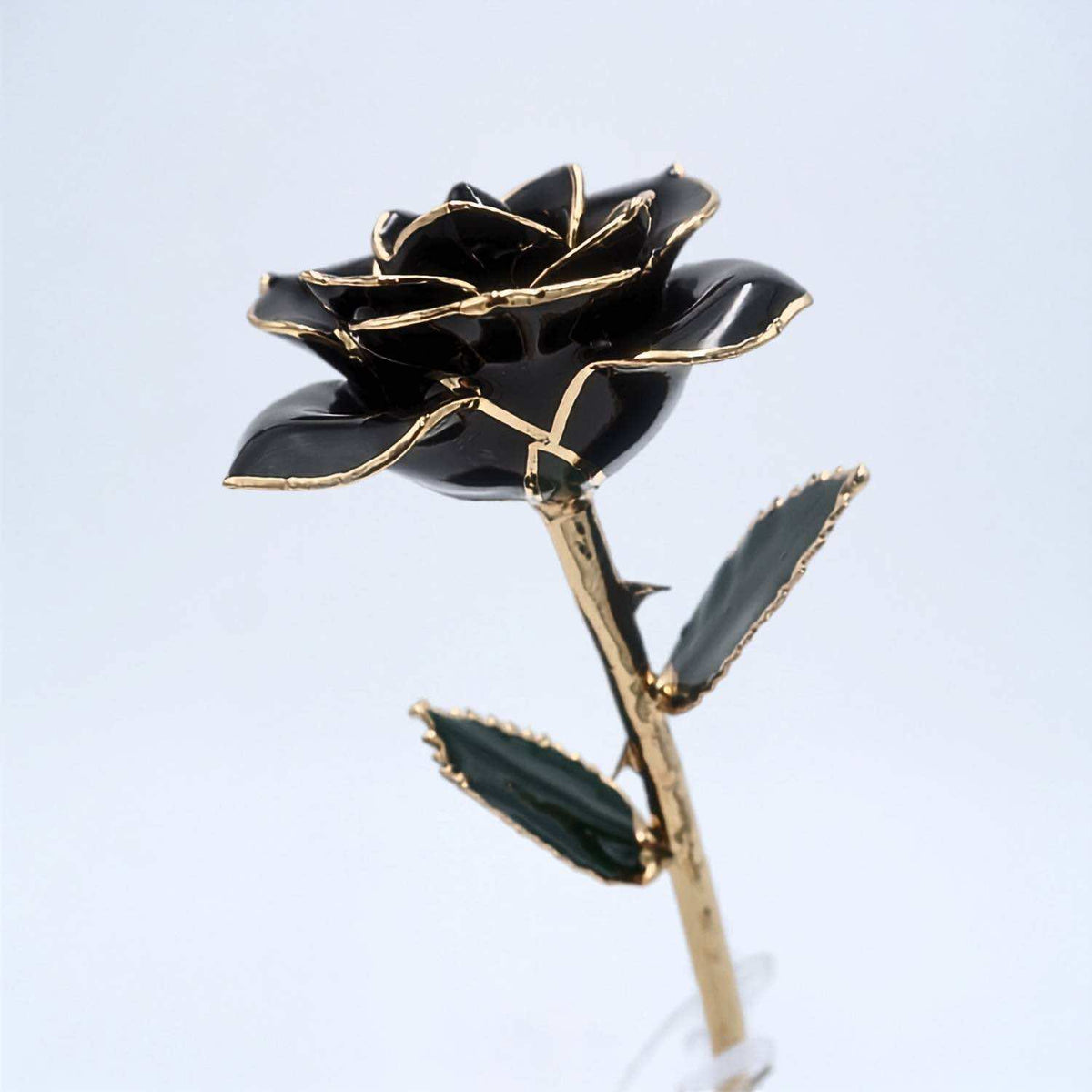 Black open bloom preserved rose with 24K gold accents, angled half-length view