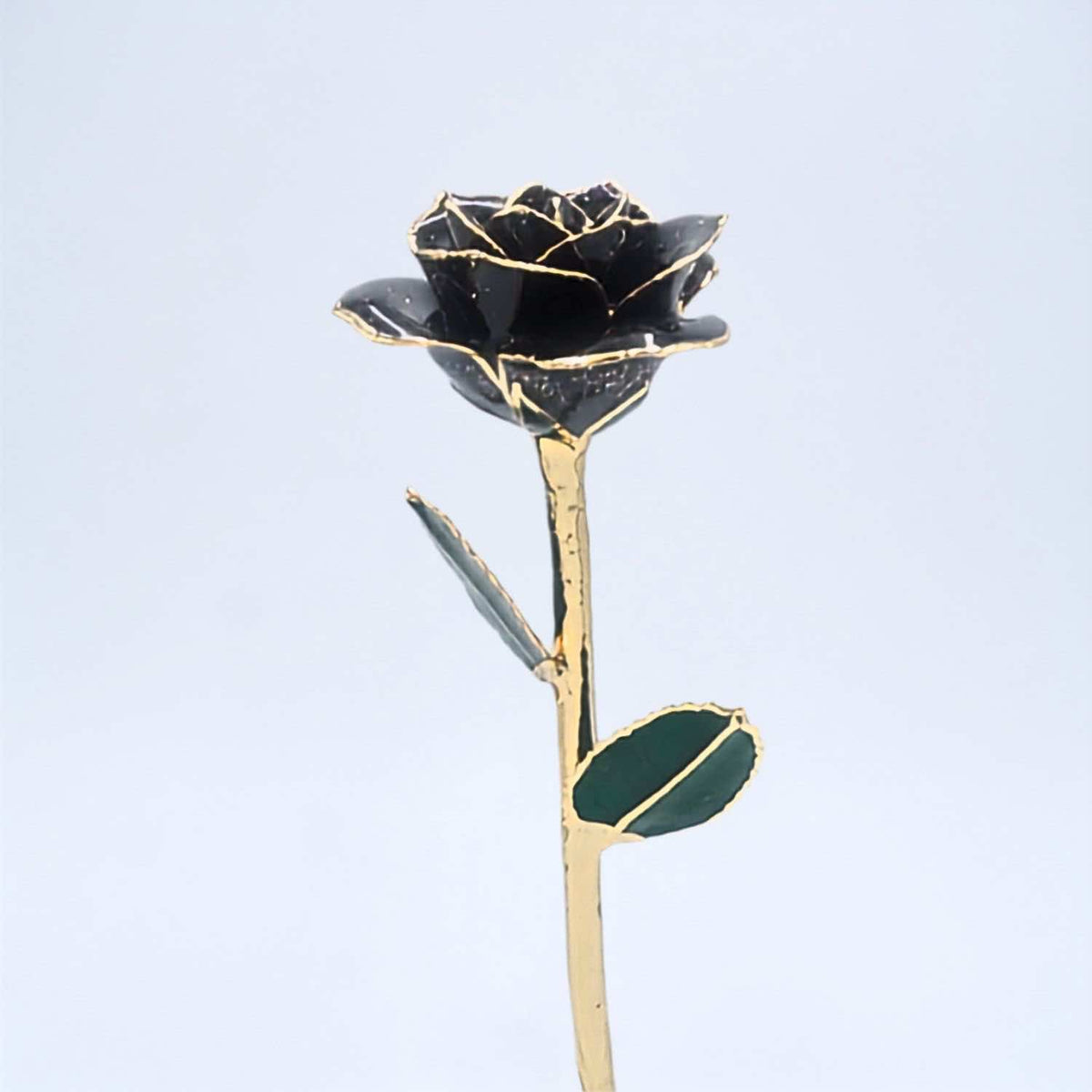 Black galaxy glitter open bloom rose with 24K gold accents, angled half-length view