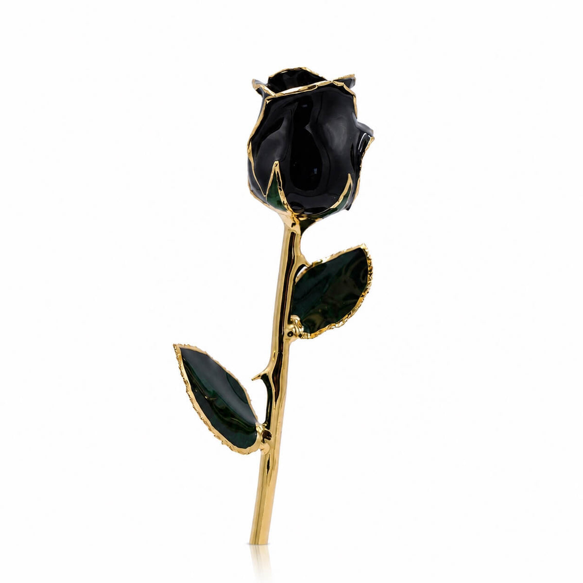 Black 11.5-inch closed bud preserved rose with 24K gold accents, bloom close-up
