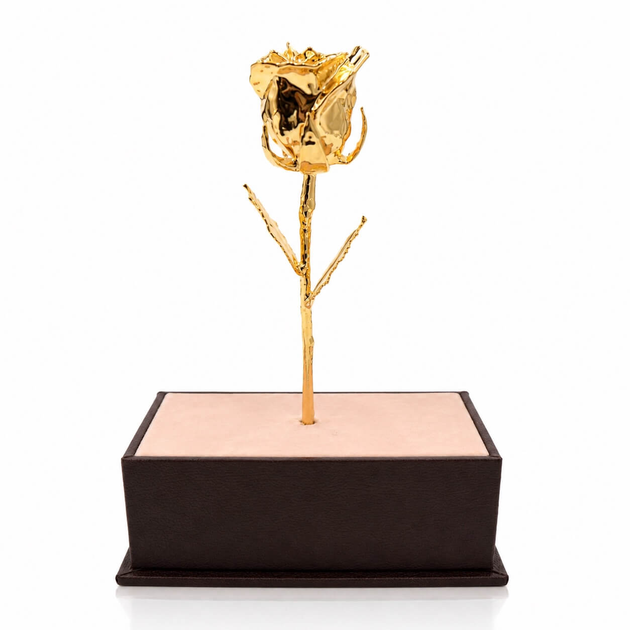 Gold rose on a black stand with a white background