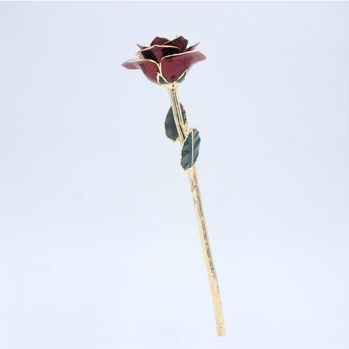 Burgundy open bloom preserved rose with 24K gold accents, full side view