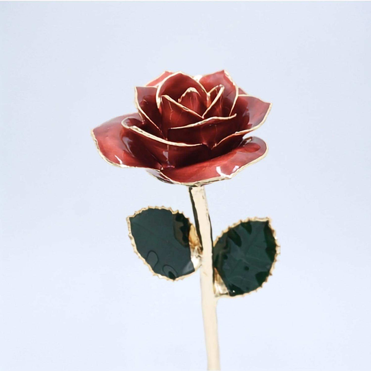 Burgundy open bloom preserved rose with 24K gold accents, half-length front view