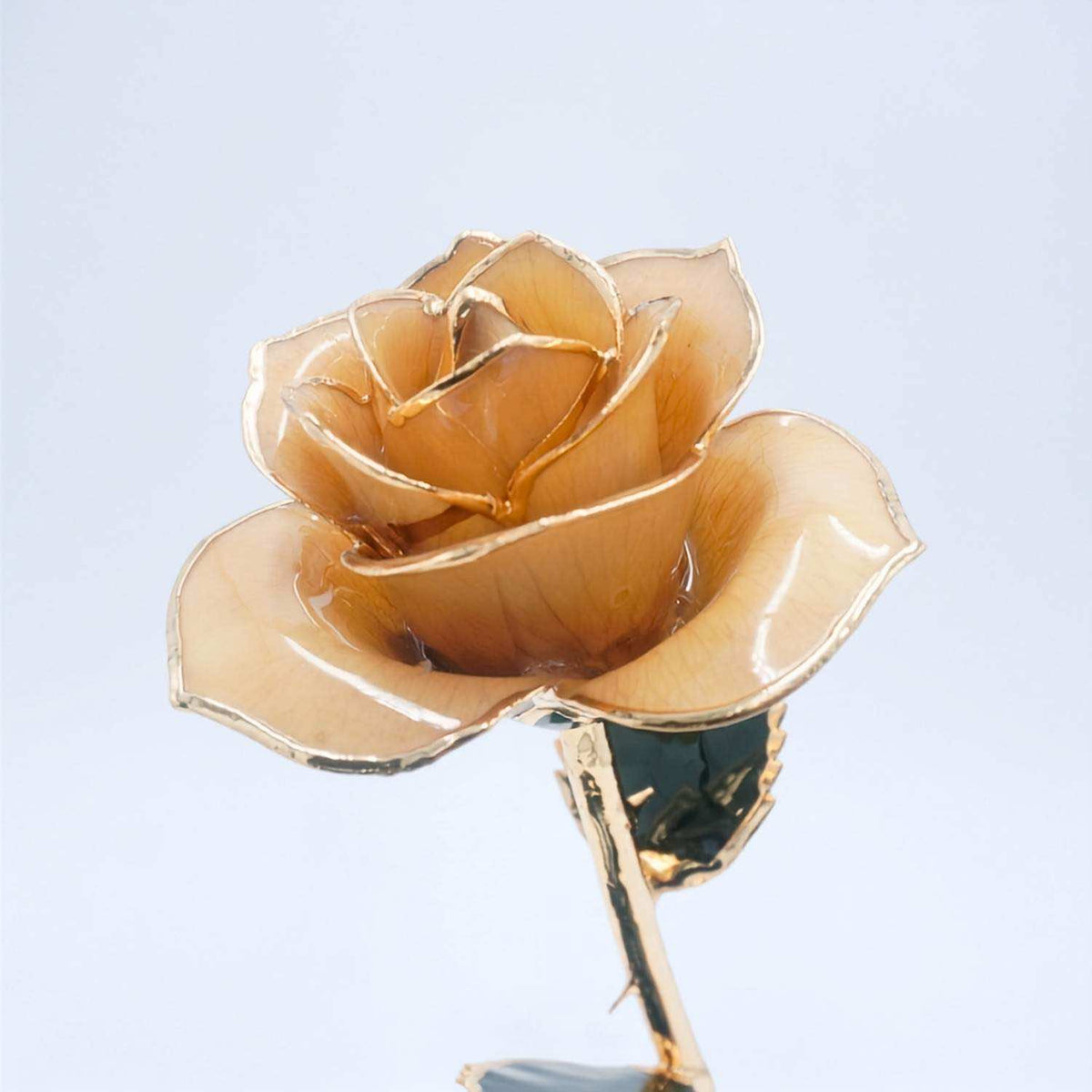 24k gold champagne ose lovepicker 