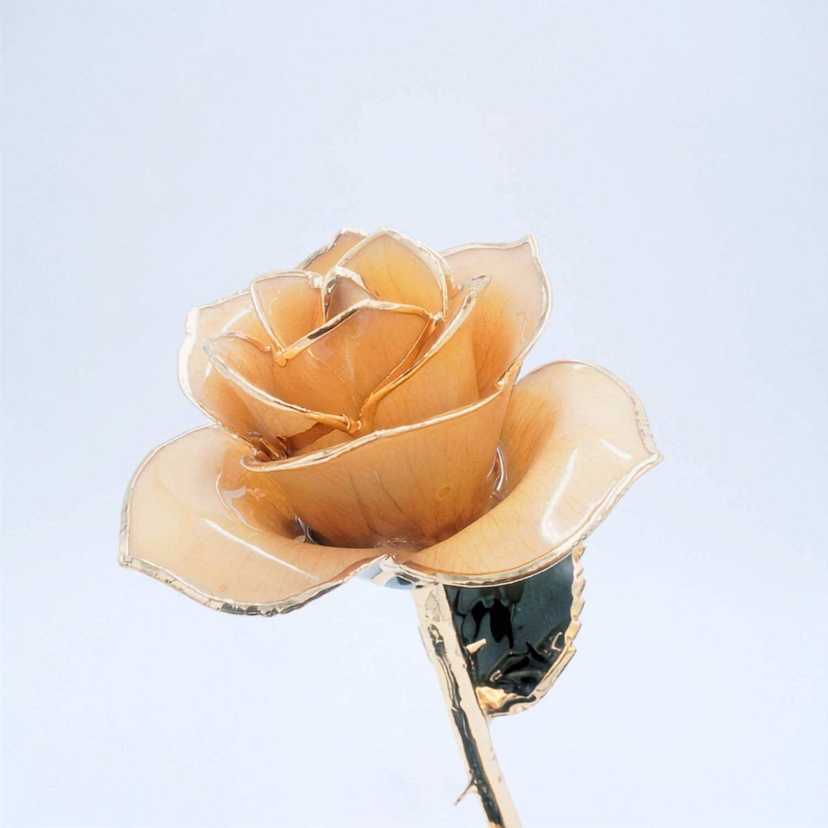 A single real rose flower preserved with glossy champagne 24k petals outlined in gold, attached to a metallic gold stem with a dark green reflective center, shown against a plain light background.