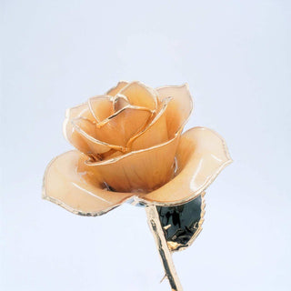 A single real rose flower preserved with glossy champagne 24k petals outlined in gold, attached to a metallic gold stem with a dark green reflective center, shown against a plain light background.