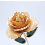 A single gold-toned rose with glossy petals and dark green leaves on a stem, photographed against a soft light gray background.