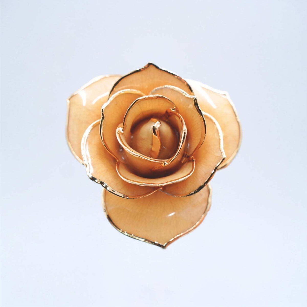 A single 24K gold rose - shaped accessory, likely a brooch or pin, crafted from layered translucent peach-colored petals with metallic gold edges, set against a plain light blue background.