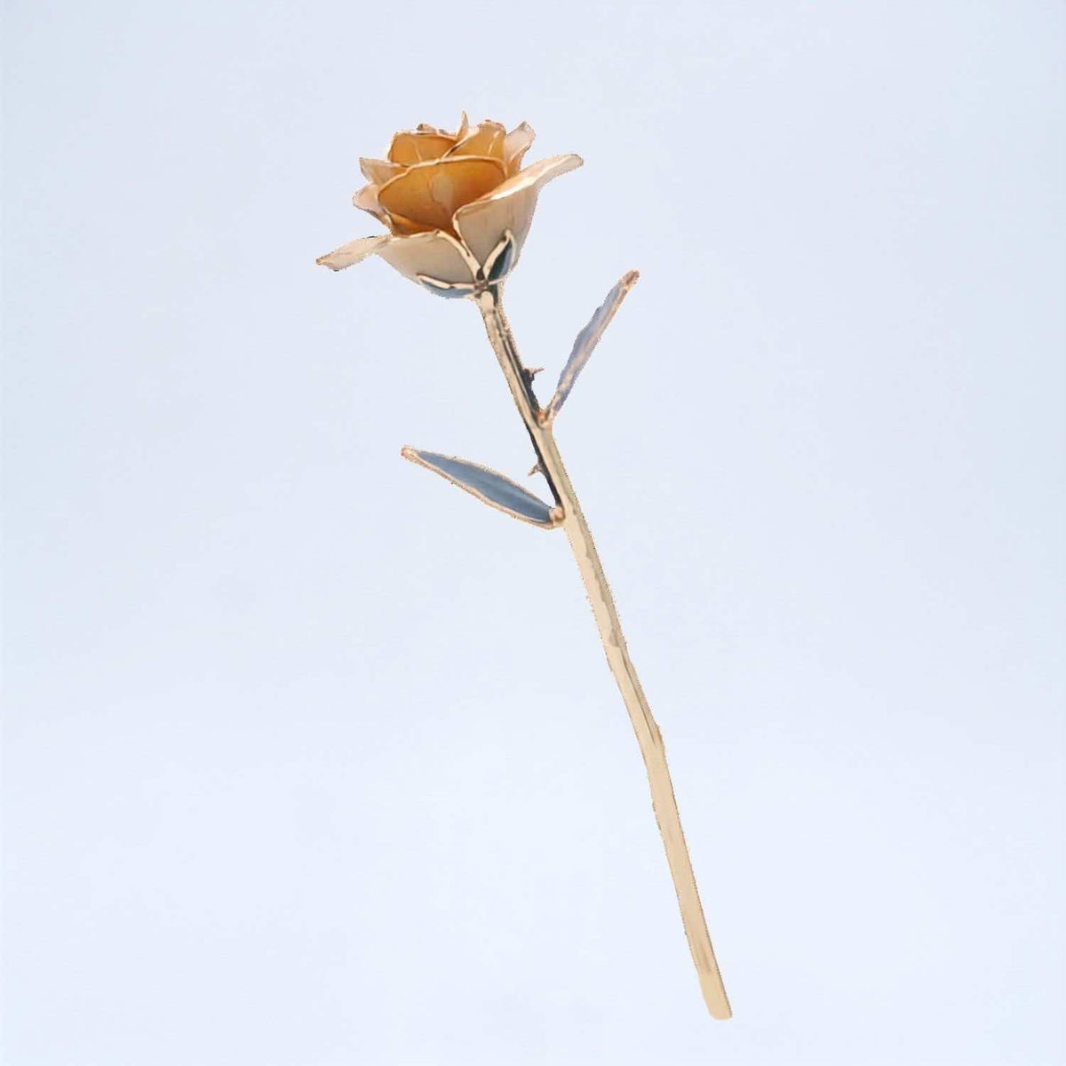 Champagne beige gold rose 24k electroplted on the while background lovepicker store