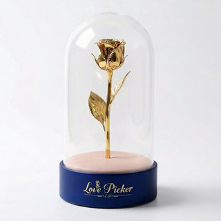 Gold rose inside a glass dome on a white background