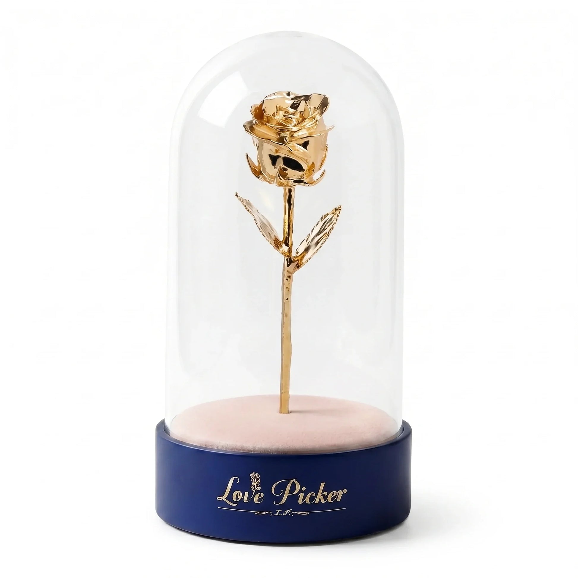 golden rose in dome box